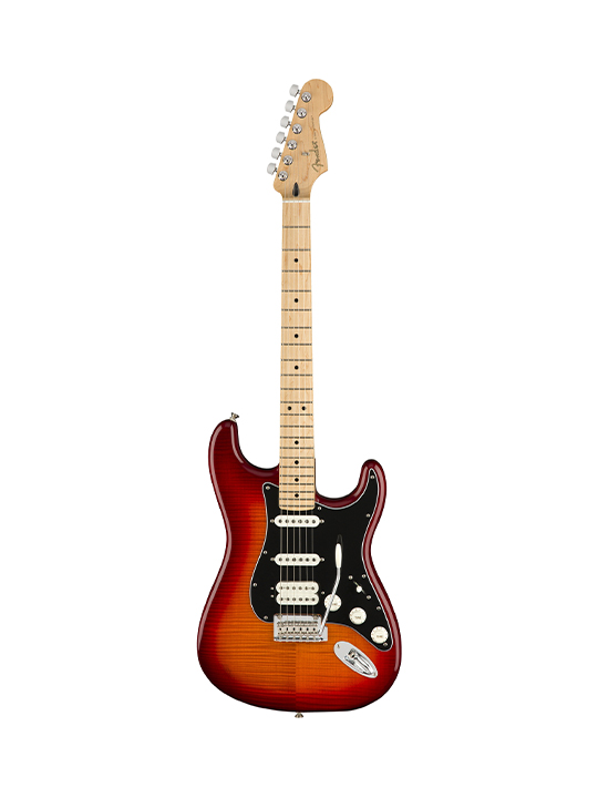 fender standard stratocaster hss plus top