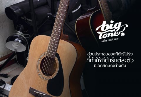 guitar-acoustic-component