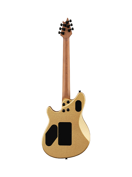 EVH Wolfgang WG Standard