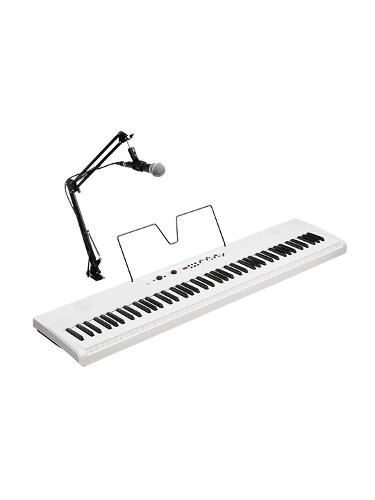 Korg Liano Live Digital Piano