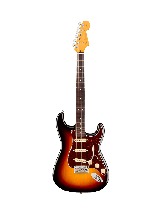 Fender New American Professional Stratocaster (Alder Body)