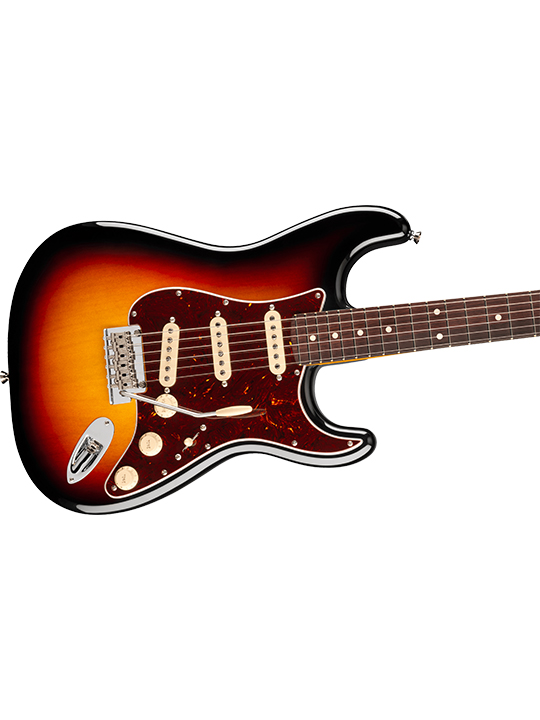 Fender New American Professional Stratocaster (Alder Body)
