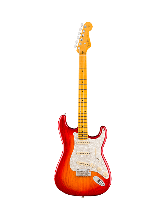 Fender New American Professional Stratocaster (Ash Body)